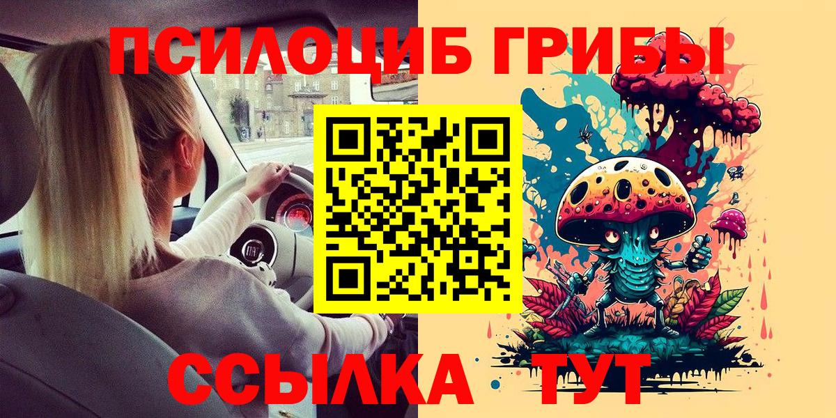 Псилоцибиновые грибы мицелий Нурлат